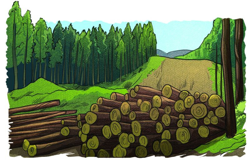 Древесные отходы