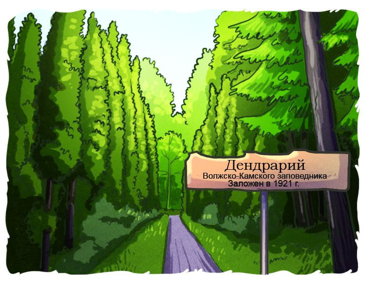 Дендрарий